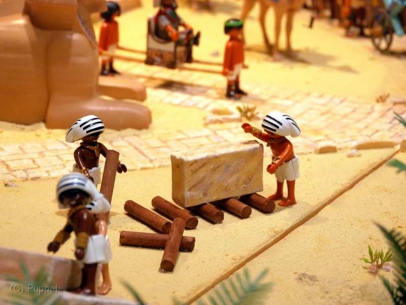 T120 egyp-P2590556.JPG